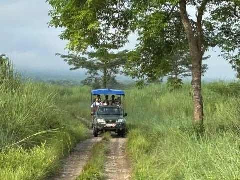 Jeep safari exploring the forests of Chitwan National Park
