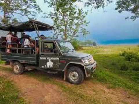 Jeep safari exploring the forests and grasslands of Chitwan