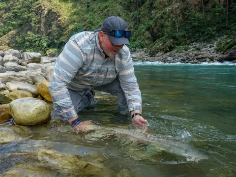 Fishing for Golden Mahseer at Scorpion Beach, Seti Karnali