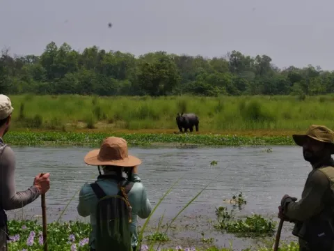 Trishuli River Rafting with Chitwan National Park: A Luxury Adventure in Nepal