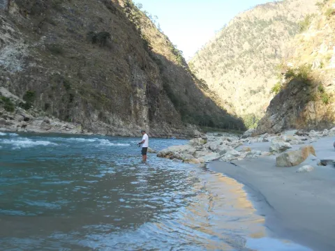 Golden Mahseer fishing adventure in the Himalayan wilderness