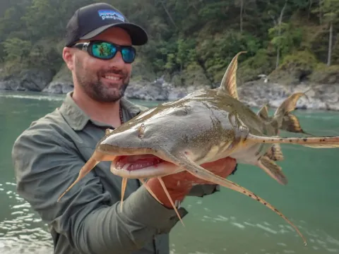 Goonch fishing in the Bheri River